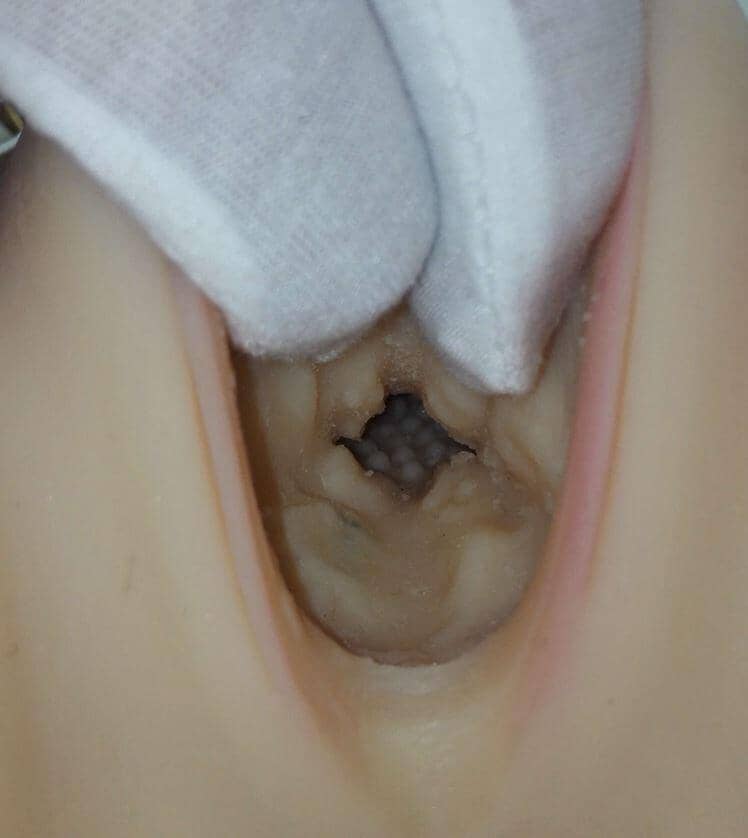 Removable Vagina Insert (TPE) - Image 4
